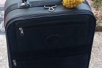 Sale Photo Thumbnail #157