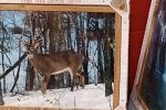 Sale Photo Thumbnail #65