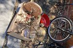 Sale Photo Thumbnail #15