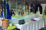 Sale Photo Thumbnail #12