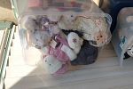 Sale Photo Thumbnail #10