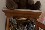 Sale Photo Thumbnail #95