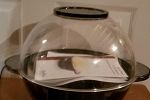 Sale Photo Thumbnail #11