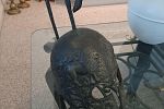 Sale Photo Thumbnail #38