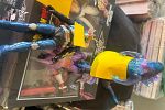 Sale Photo Thumbnail #24