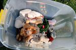 Sale Photo Thumbnail #59