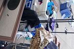 Sale Photo Thumbnail #8