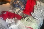 Sale Photo Thumbnail #6
