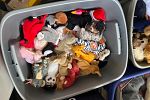 Sale Photo Thumbnail #10