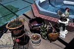 Sale Photo Thumbnail #347