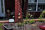 Sale Photo Thumbnail #319