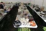 Sale Photo Thumbnail #37