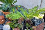 Sale Photo Thumbnail #30