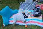 Sale Photo Thumbnail #13