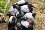 Sale Photo Thumbnail #20