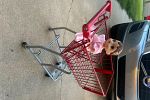 Sale Photo Thumbnail #42