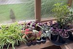 Sale Photo Thumbnail #8