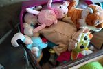 Sale Photo Thumbnail #41
