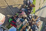 Sale Photo Thumbnail #3