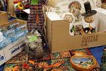 Sale Photo Thumbnail #52