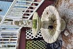Sale Photo Thumbnail #142