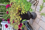 Sale Photo Thumbnail #140