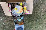 Sale Photo Thumbnail #3