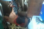 Sale Photo Thumbnail #35
