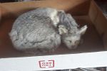 Sale Photo Thumbnail #16