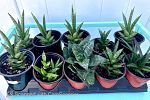 Sale Photo Thumbnail #5