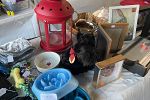 Sale Photo Thumbnail #10