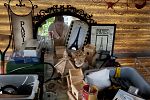 Sale Photo Thumbnail #10