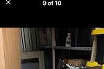 Sale Photo Thumbnail #45
