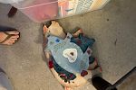 Sale Photo Thumbnail #6