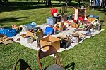 Sale Photo Thumbnail #9