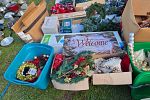 Sale Photo Thumbnail #29