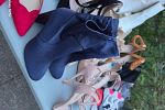 Sale Photo Thumbnail #136