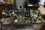 Sale Photo Thumbnail #13