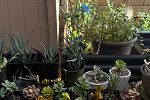 Sale Photo Thumbnail #12