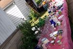 Sale Photo Thumbnail #14