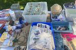 Sale Photo Thumbnail #20