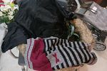 Sale Photo Thumbnail #73