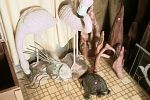 Sale Photo Thumbnail #9