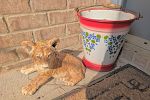 Sale Photo Thumbnail #309