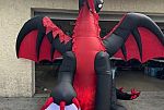 Sale Photo Thumbnail #20