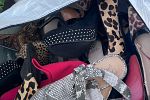 Sale Photo Thumbnail #2