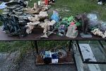 Sale Photo Thumbnail #6