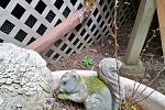 Sale Photo Thumbnail #16