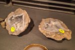 Sale Photo Thumbnail #137