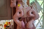 Sale Photo Thumbnail #186